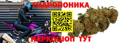 экстази Моздок